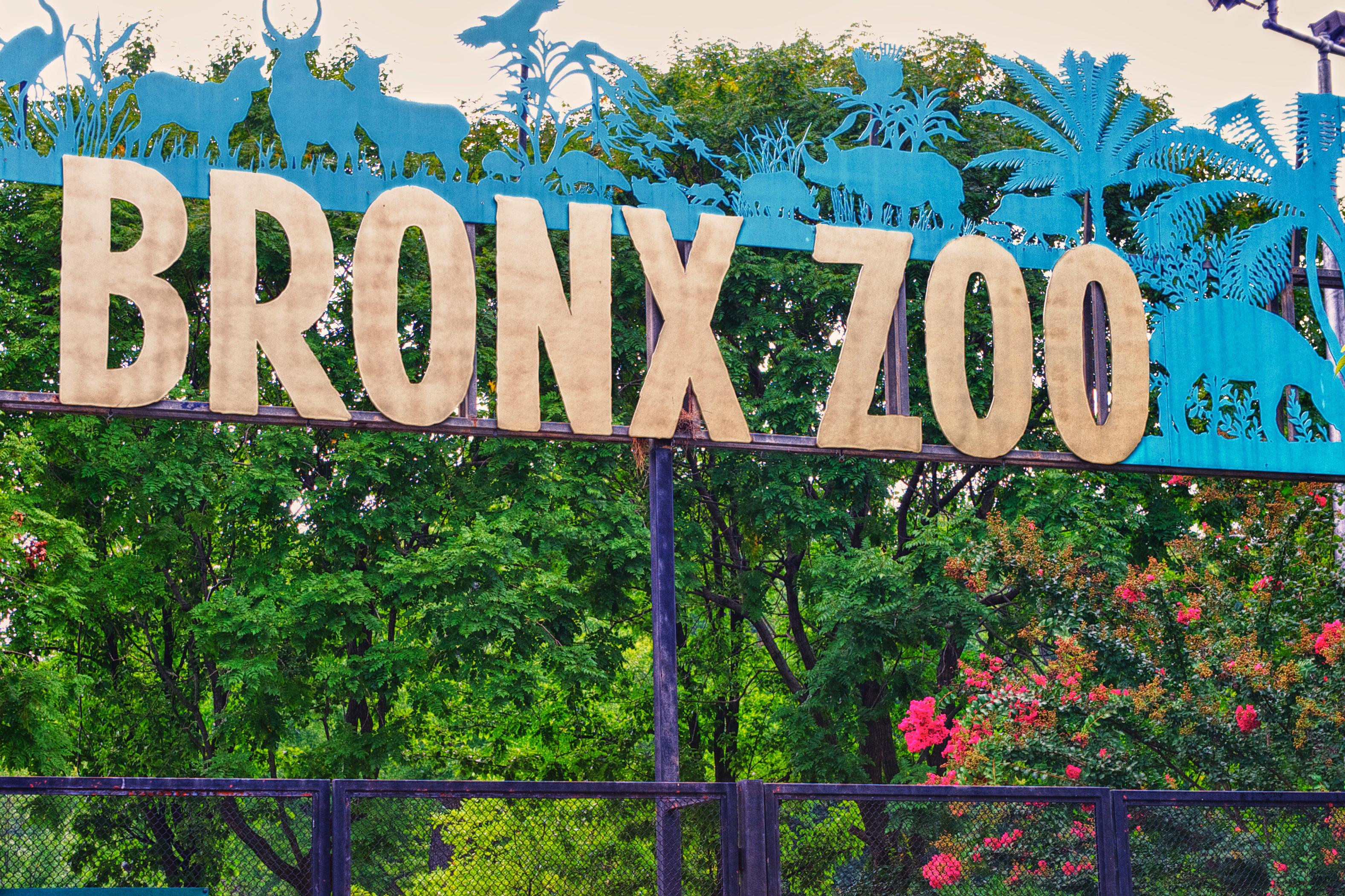 Bronx Zoo Sign